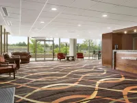 尼亞加拉瀑布瀑布景區Travelodge by Wyndham酒店 尼亞加拉瀑布酒店
