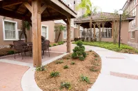 Drury Inn & Suites McAllen Hotel di Mcallen