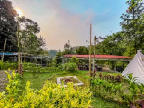 Kaliwatu Sentul Glamping & Campsite
