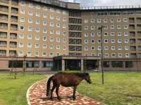 Toyoko Inn Tsushima Hitakatsu 쓰시마 시 호텔