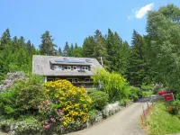 Haus Ganter Hotels in Hinterzarten