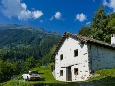 Rustico Girasole