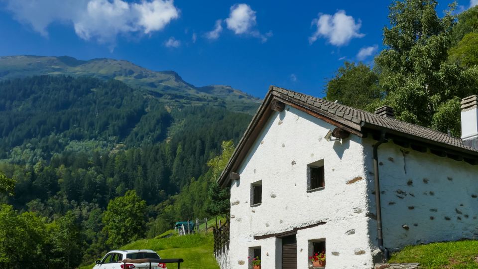 Rustico Girasole