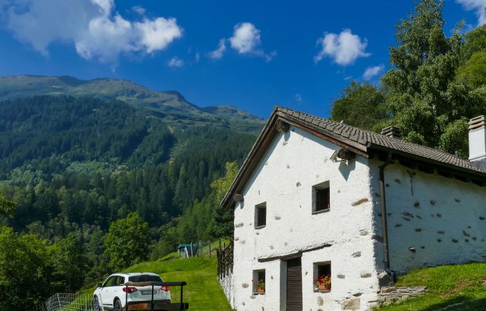Rustico Girasole