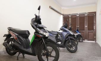 Djuragan Kamar Palem Merah