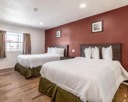 エコノ ロッジ ニードルズ ニードルズのホテル