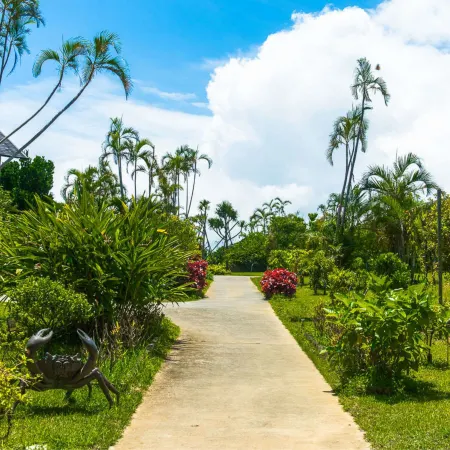 LiVEMAX AMMS CanNa RESORT VILLA