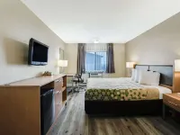 Econo Lodge Madison East Hotels in Dane County