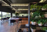 Hotel Pepe Vieira - Desayuno