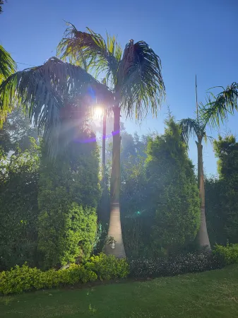 StayVista at Pandav Greens with Lawn & Bonfire