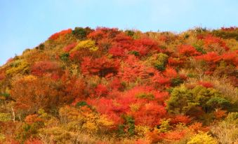 Unzen Kyushu Hotel