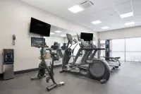 Best Western Plus Mobile Inn  Suites - Gym
