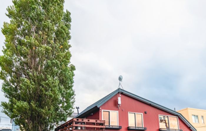 Populus Lulu Guesthouse