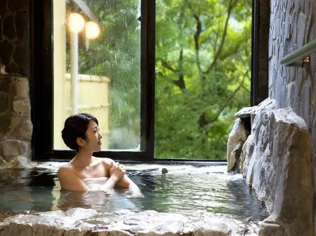 Tochigi Onsen Oyama Ryokan Отели рядом с достопримечательностью «Aso Farm Land»
