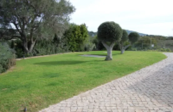 Villa Monte Alegrete with sea view