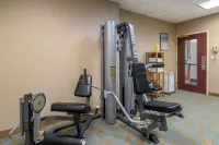 Comfort Inn & Suites Northeast - Gateway - Gym
