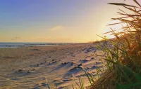 Küstenliebe Gartenpension & Ferienwohnungen - Beach