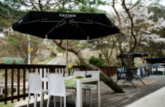 Forest 323 Pension (Newly Opened in 2024)