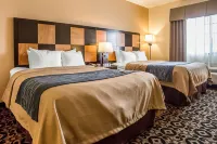 舒適飯店-巴拉德羅斯福