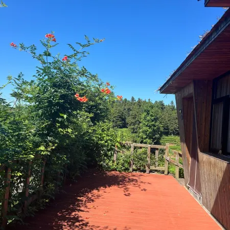Yihao Farmhouse Homestay | Where Harvest Meets Hospitality