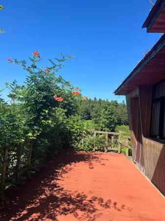 Yihao Farmhouse Homestay | Where Harvest Meets Hospitality Отели рядом с достопримечательностью «Shibawo Scenic Resort»