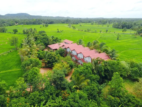 Rivonway Hotel Polonnaruwa فنادق في Giritale