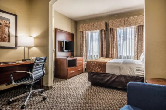 Comfort Suites Near Texas State University Hotels in Hays County