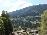 Pflaume - spa