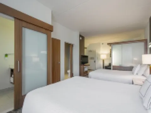 SpringHill Suites Tampa North/I-75 Tampa Palms Hotels in Tampa