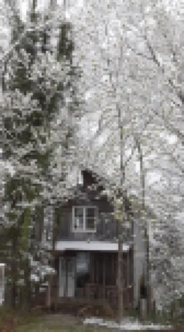RockinC Cabin. Private cabin in the tall trees. On a120 acre farm.