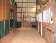 Rustique Cabin at Briarcreek Farm, Downstairs Only,  Sleeps 4