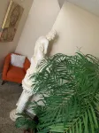 Luxurious High End Split Level Loft