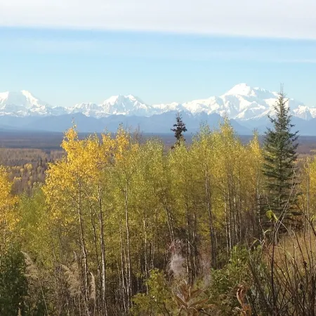Denali View Mountaintop Guesthouse