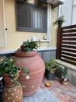Carla's studio