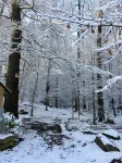 Tulip Cottage ideal Riverside Location, Lake District  Park,withlog burner. Hotels in Whitwell and Selside