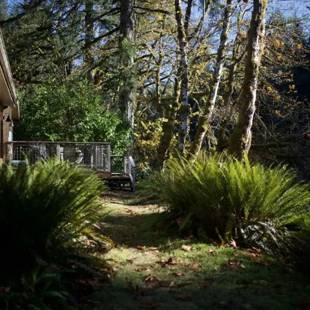 Sol Duc Riverside Retreat: Entire Riverfront Home