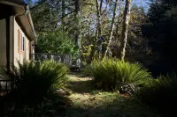 Sol Duc Riverside Retreat: Entire Riverfront Home
