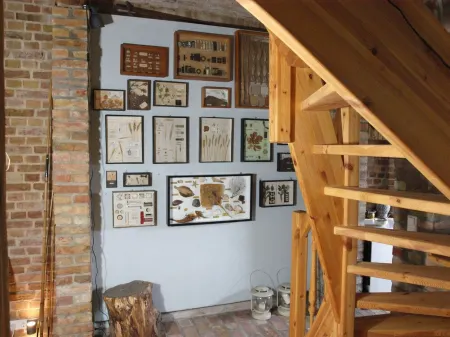 Experience nature and enjoy peace