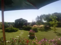 Old, Traditional, Charentaise House, Peaceful Vineyard Location