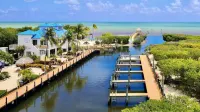 Your Happy Place - gorgeous 2 bed 2 bath oceanfront suite with full kitchen