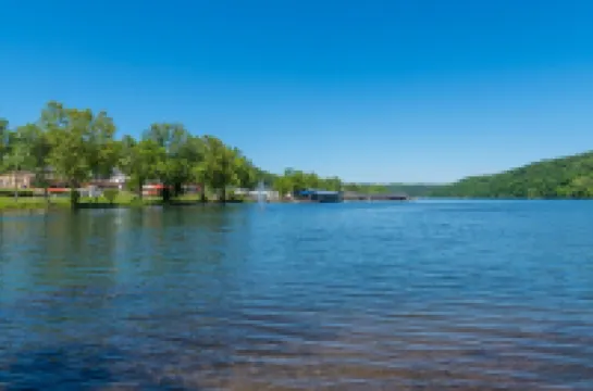 Honey Hive in Rockaway Beach