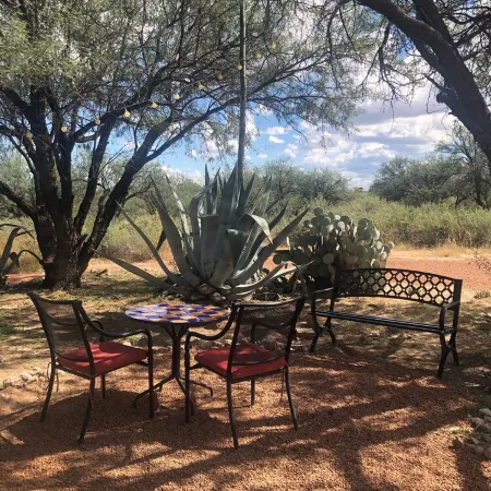 Ranchito Paraiso: Artsy Farm Stay in the Desert