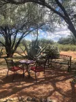 Ranchito Paraiso: Artsy Farm Stay in the Desert