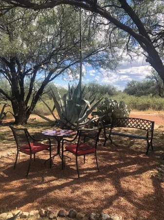 Ranchito Paraiso: Pet-friendly Oasis in the Desert