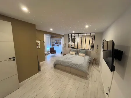 🌟la Verrière 🌟berges du Tarn - Centre Ville Отели в г. Мийо