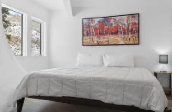 THE ICONIC Vail Ski Dome with Amazing Views, New remodel. Free Parking at Vail