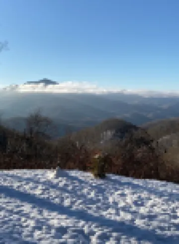 Balsam Mountain Cabin with waterfalls and a great year round view
