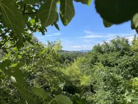 L'annexe de Brisset, Sejour Idéal en Drôme Provençal