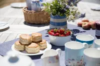 Luxury  5 star Farmhouse near padstow, wifi, fishing, bird hide, stunning views