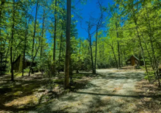 Woods Retreat at Table Rock